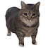 V8oq8GDdutM-channel-avatar-ReallyPdawg