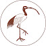7yVFI7Syc6I-channel-avatar-Ibis Education & Media