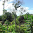 2wdgyypZpmY-channel-avatar-Sarmin Village lifestyle