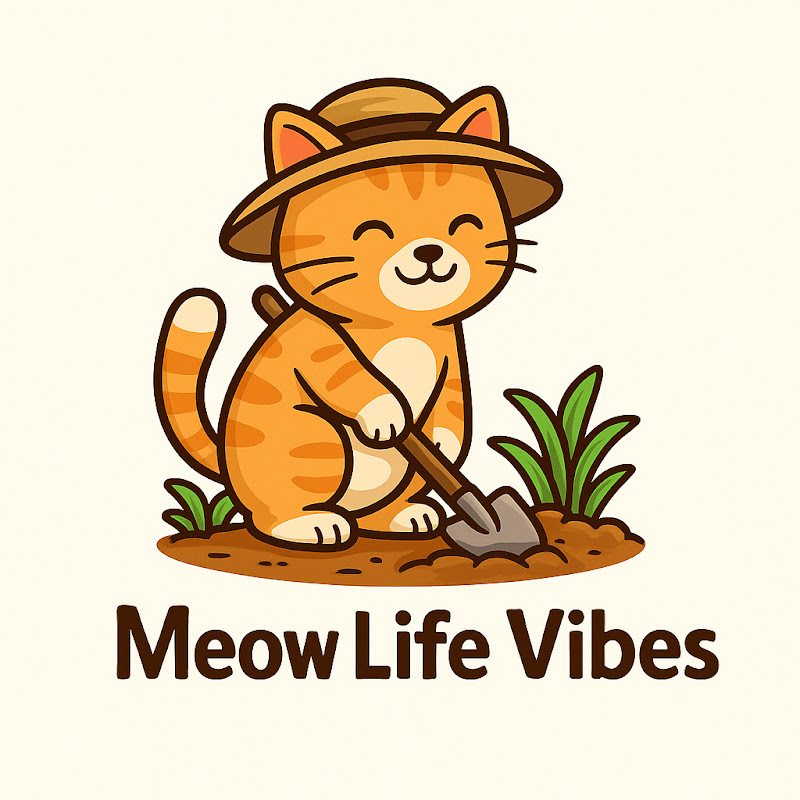 Meow Life Vibes