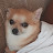 @케르베로스행복이