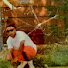 f4FqO9_1PSY-channel-avatar-OGBloodshotred