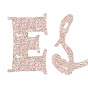 Envy Stylz Boutique logo