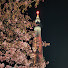 lAD9c8JWvSg-channel-avatar-𝑺𝒉𝒊𝒛𝒖𝒌𝒂 𝑻𝒓𝒂𝒗𝒆𝒍  靜旅行