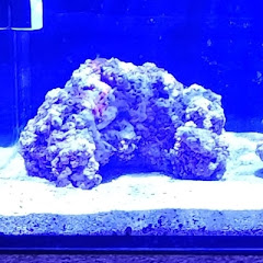 AquaClown