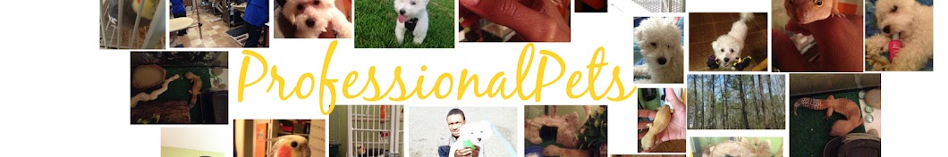 ProfessionalPets Avatar canale YouTube 