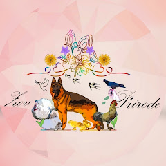 ZOV PRIRODE  net worth