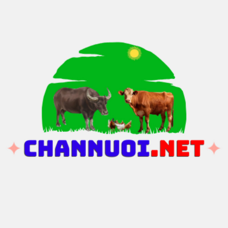 CHANNUOI.NET5.0
