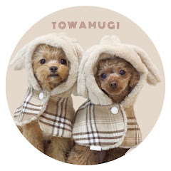 トワムギ姉弟アイコン画像