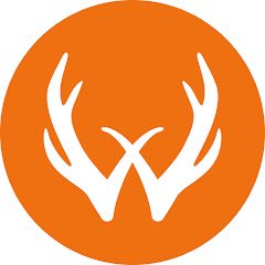 Young Wild Hunters