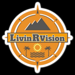 LivinRVision net worth