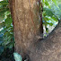 hVC5yiAgIxM-channel-avatar-dailylife nature