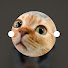 jBF9j61d-E4-channel-avatar-Purrfessor