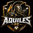 nzqLfqVeRzE-channel-avatar-Aquiles FC 