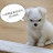 @굿데이최고