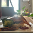 gKrGB405OTI-channel-avatar-Eatertained