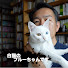 gWMm9wchhBM-channel-avatar-白猫とドイツ語