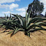 _qFiCwPQQvk-channel-avatar-México Atemporal Documentales 