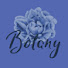 8xkKFXkeDDE-channel-avatar-Botany