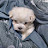 @코코아빠-000
