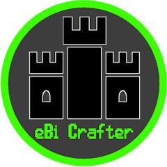 eBi Crafter net worth