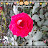 @윤형배-o3f