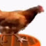 23csZfdsd_U-channel-avatar-SM Z