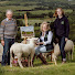 83ozn5nDwcY-channel-avatar-Crafts of Ireland