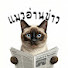 wJNFFkU05nc-channel-avatar-แมวอ่านข่าว