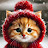 Funnymeow