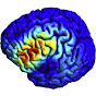 Brain Stimulation Science logo