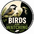 KXK3pNNuvpA-channel-avatar-Birds Are Watching