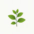 r9NoZ5_UhUs-channel-avatar-Homestead Roots