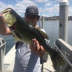 Southern Region Bassin