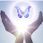 Bluebutterfly Energy Healing