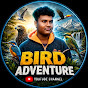 @Bird Adventure
