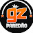 GZ PAREDÃO