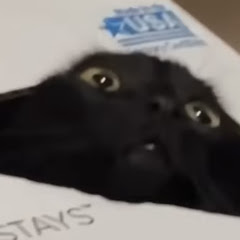 NeneDaikon