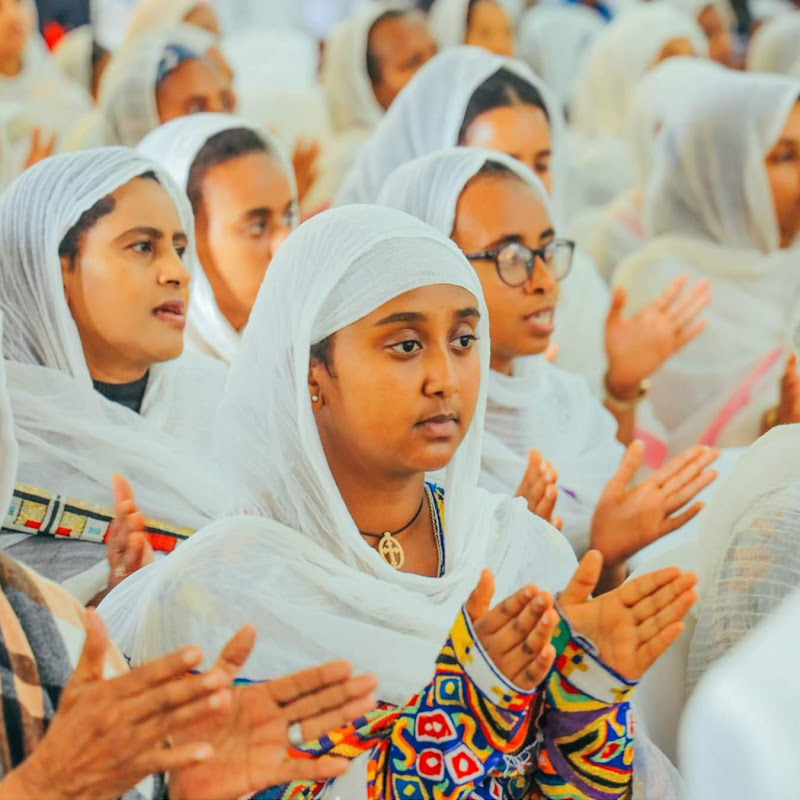 Zemarit Sara Mengistu Official Logo