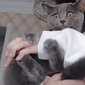 Автор