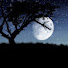 hgO8tiyR_jE-channel-avatar-Storis With Zindagi