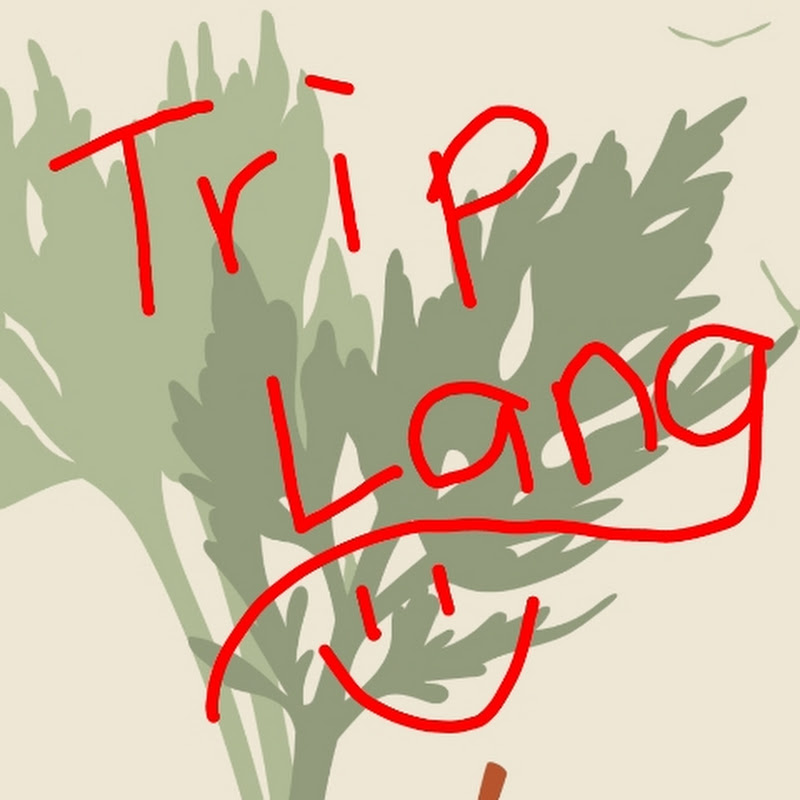 AnneJin Trip Lungs Vlog