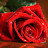 @xMI55IONx Avatar