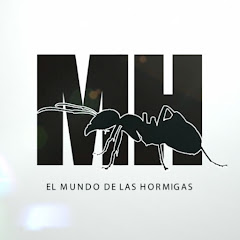 EL MUNDO DE LAS HORMIGAS Channel icon