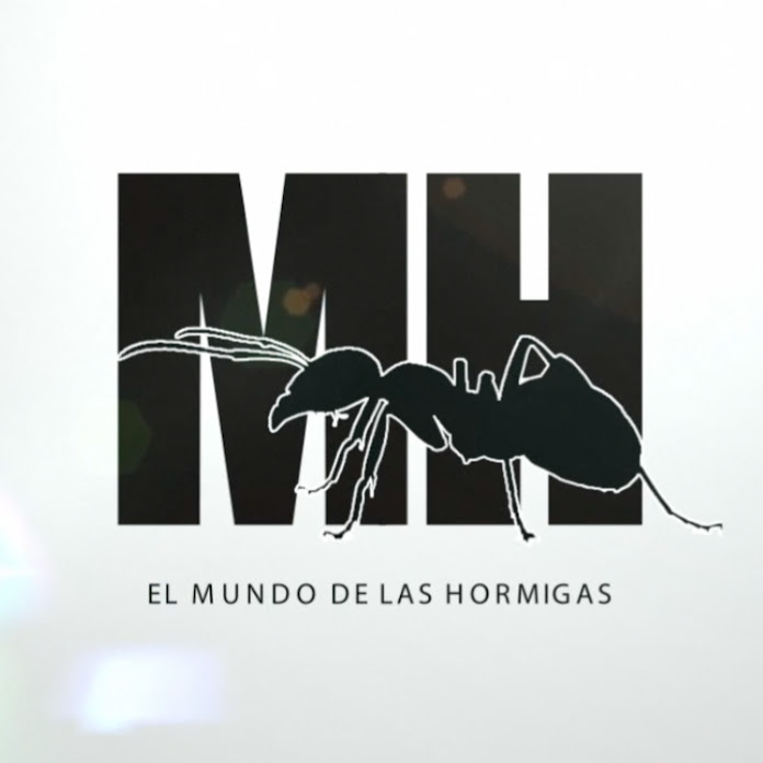 EL MUNDO DE LAS HORMIGAS Net Worth & Earnings (2024)