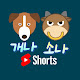 개나 소나 숏츠
