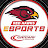 Red Hawks Esports