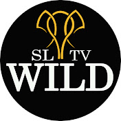 SL Wild TV
