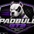 g4iQ0cvV_uw-channel-avatar-Padbull GTBrasil 