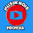 MUSIK NOIS INDONESIA